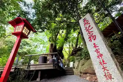 來宮神社(静岡県)
