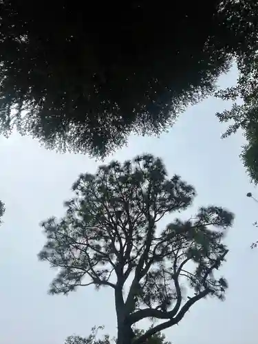 品川神社(東京都)