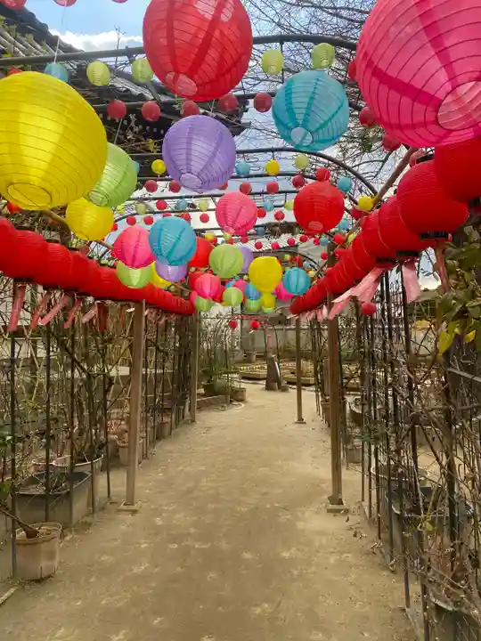 おふさ観音(観音寺)(奈良県)