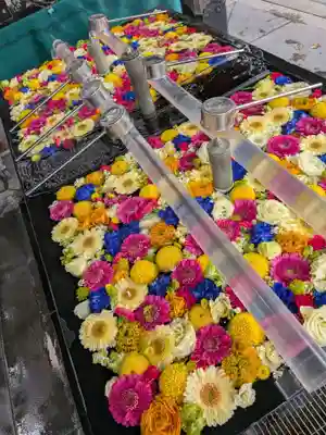 成田山深川不動堂（新勝寺東京別院）(東京都)