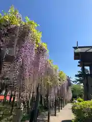 玉敷神社の庭園