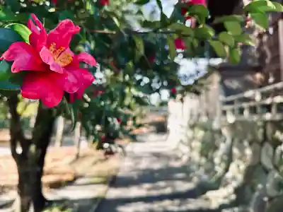 若宮神明社(愛知県)