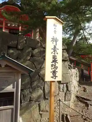 日御碕神社(島根県)