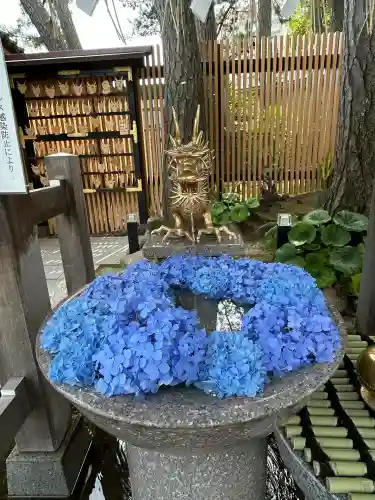 白山神社(新潟県)