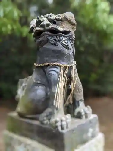 金崎神社の狛犬