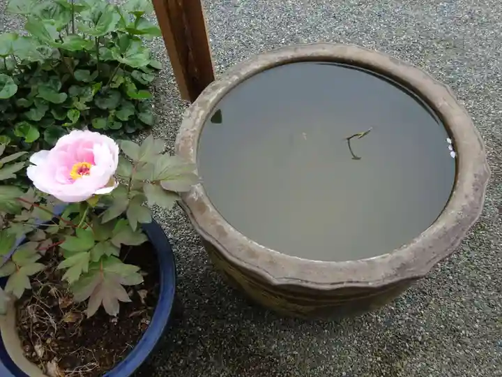 妙蓮寺(神奈川県)