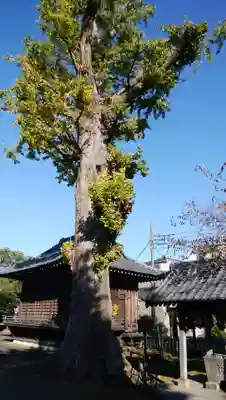 諏訪神社のその他建物