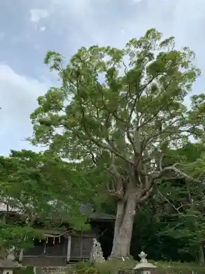 愛宕神社の自然