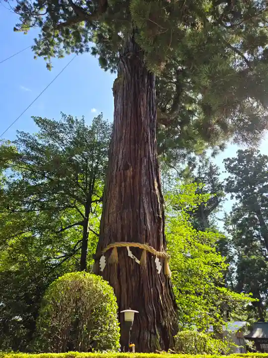 香取神宮の自然