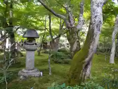 圓光寺(京都府)