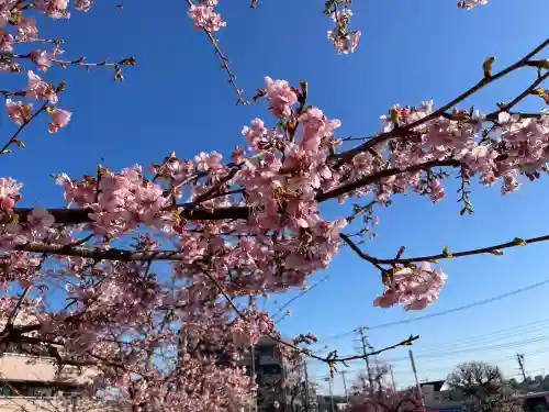 菅原神社の{uncategorized: "未分類", other: "その他", undefined: "問題あり", building: "その他建物", grave: "お墓", sacred_gate: "鳥居", guardian: "狛犬", statue: "像", buddha: "仏像", history: "歴史", nature: "自然", garden: "庭園", animal: "動物", pagoda: "塔", temizu: "手水舎", mountain_gate: "山門・神門", sanctuary: "本殿・本堂", subordinate: "末社・摂社", art: "芸術", scenery: "景色", jizo: "地蔵", ema: "絵馬", goshuin: "御朱印", omikuji: "おみくじ", items: "授与品その他", amulet: "お守り", goshuincho: "御朱印帳", eats: "食事", festival: "お祭り", votive_dance: "神楽", shichigosan: "七五三参", wedding: "結婚式", experience: "体験その他", initially: "初詣", around: "周辺", anti_infection: "感染症対策"}