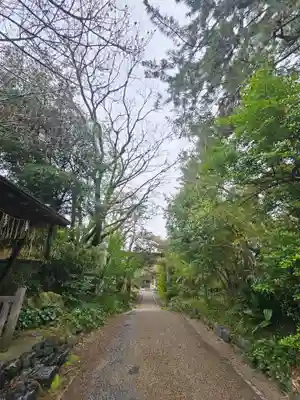 新潟大神宮(新潟県)