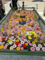 住吉神社(北海道)