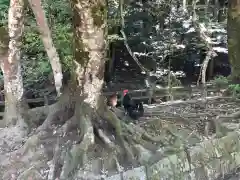 石上神宮の動物