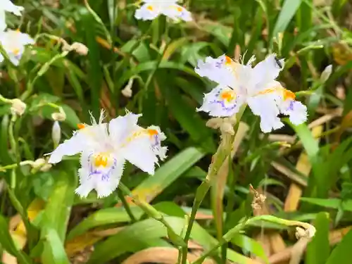 田村神社の自然