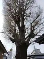 圓竜寺(岐阜県)