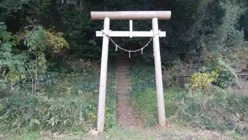 青龍神社の鳥居