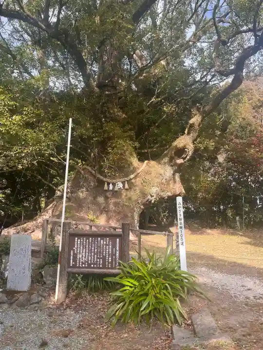 船引神社の{uncategorized: "未分類", other: "その他", undefined: "問題あり", building: "その他建物", grave: "お墓", sacred_gate: "鳥居", guardian: "狛犬", statue: "像", buddha: "仏像", history: "歴史", nature: "自然", garden: "庭園", animal: "動物", pagoda: "塔", temizu: "手水舎", mountain_gate: "山門・神門", sanctuary: "本殿・本堂", subordinate: "末社・摂社", art: "芸術", scenery: "景色", jizo: "地蔵", ema: "絵馬", goshuin: "御朱印", omikuji: "おみくじ", items: "授与品その他", amulet: "お守り", goshuincho: "御朱印帳", eats: "食事", festival: "お祭り", votive_dance: "神楽", shichigosan: "七五三参", wedding: "結婚式", experience: "体験その他", initially: "初詣", around: "周辺", anti_infection: "感染症対策"}