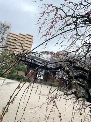 東長寺(福岡県)