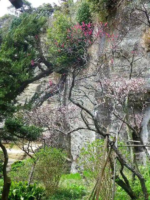 浄光明寺の自然