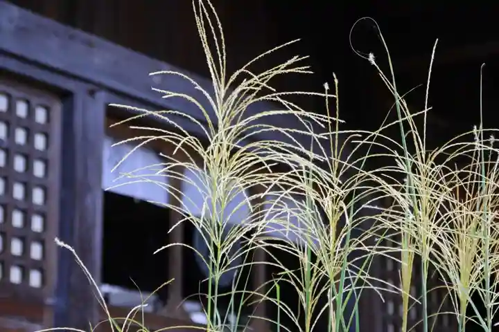 神炊館神社 ⁂奥州須賀川総鎮守⁂の自然