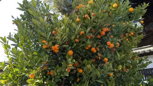 三津厳島神社(愛媛県)