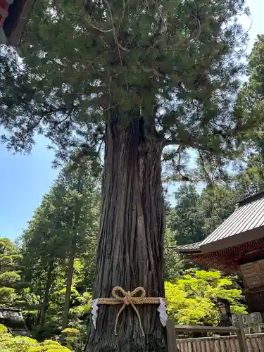 北口本宮冨士浅間神社(山梨県)