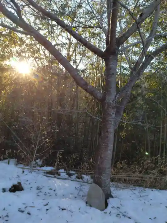 八龍神社(塩ノ貝)(宮城県)