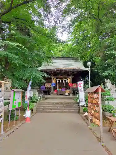 馬場氷川神社の本殿