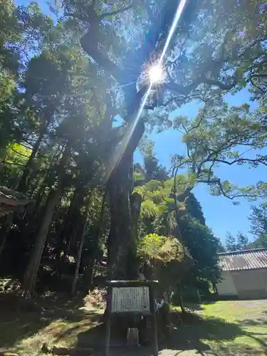 水神社の自然