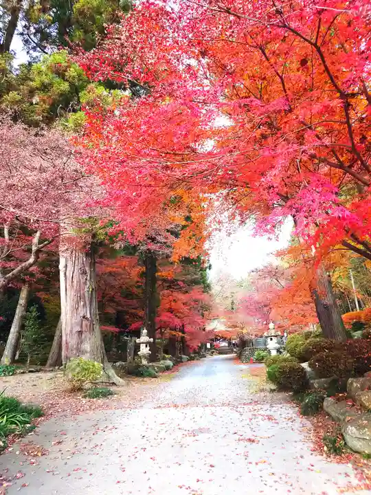 乾徳寺(栃木県)