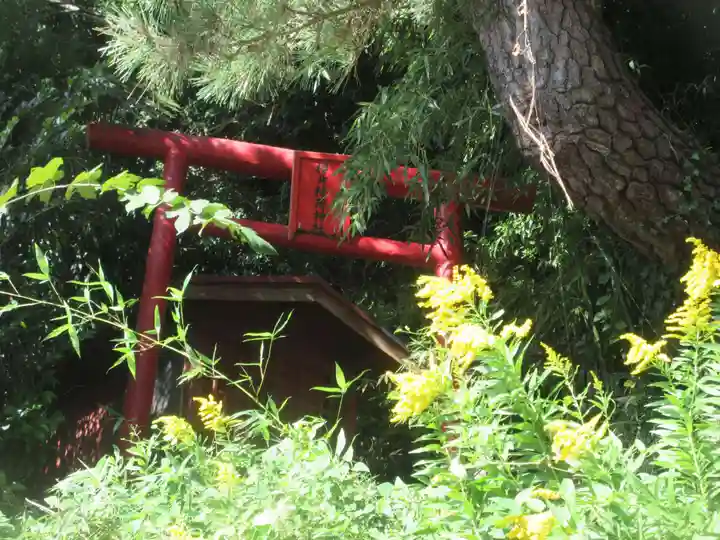 櫻井稲荷神社(茨城県)