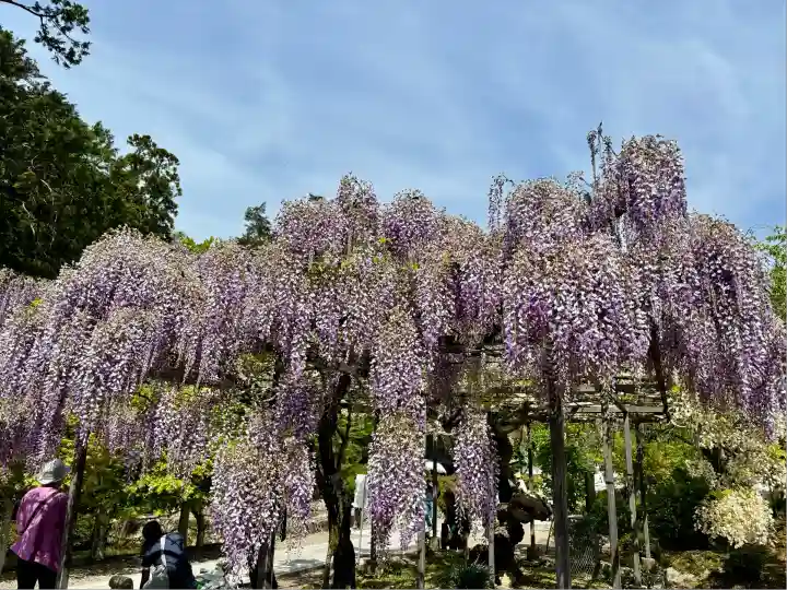 天台宗 五大山 白毫寺(兵庫県)