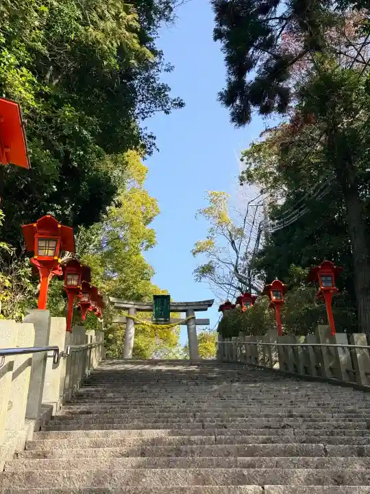 多井畑厄除八幡宮の{uncategorized: "未分類", other: "その他", undefined: "問題あり", building: "その他建物", grave: "お墓", sacred_gate: "鳥居", guardian: "狛犬", statue: "像", buddha: "仏像", history: "歴史", nature: "自然", garden: "庭園", animal: "動物", pagoda: "塔", temizu: "手水舎", mountain_gate: "山門・神門", sanctuary: "本殿・本堂", subordinate: "末社・摂社", art: "芸術", scenery: "景色", jizo: "地蔵", ema: "絵馬", goshuin: "御朱印", omikuji: "おみくじ", items: "授与品その他", amulet: "お守り", goshuincho: "御朱印帳", eats: "食事", festival: "お祭り", votive_dance: "神楽", shichigosan: "七五三参", wedding: "結婚式", experience: "体験その他", initially: "初詣", around: "周辺", anti_infection: "感染症対策"}