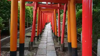 根津神社の鳥居