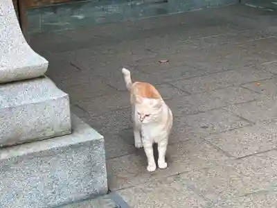王子神社(徳島県)