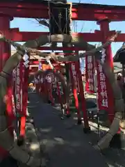 於菊稲荷神社の鳥居