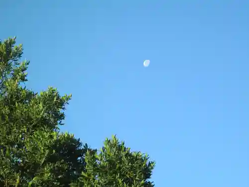 屋久島大社の自然