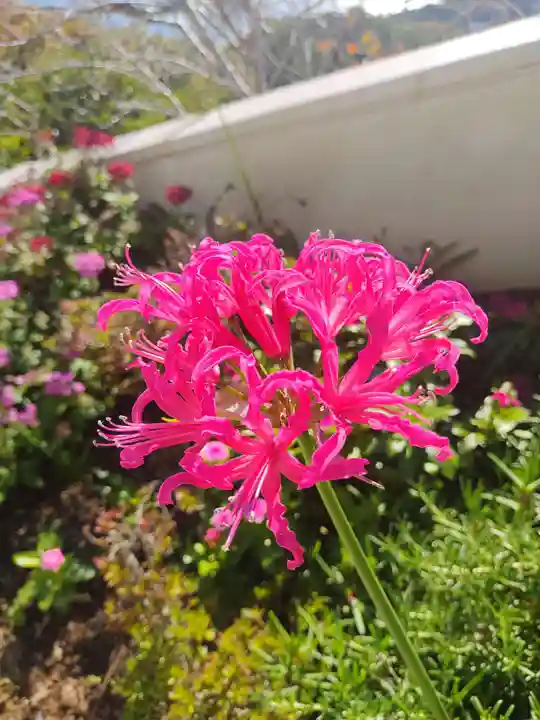 浅間神社(千葉県)