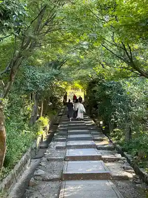 高台寺（高台寿聖禅寺・高臺寺）(京都府)