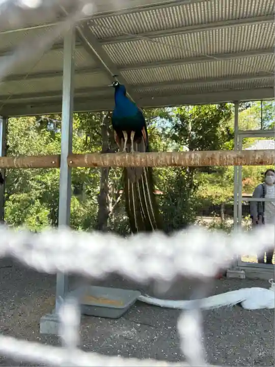 進雄神社(群馬県)