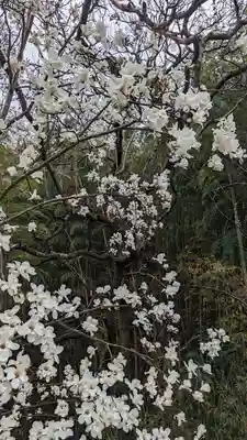 正法寺(京都府)
