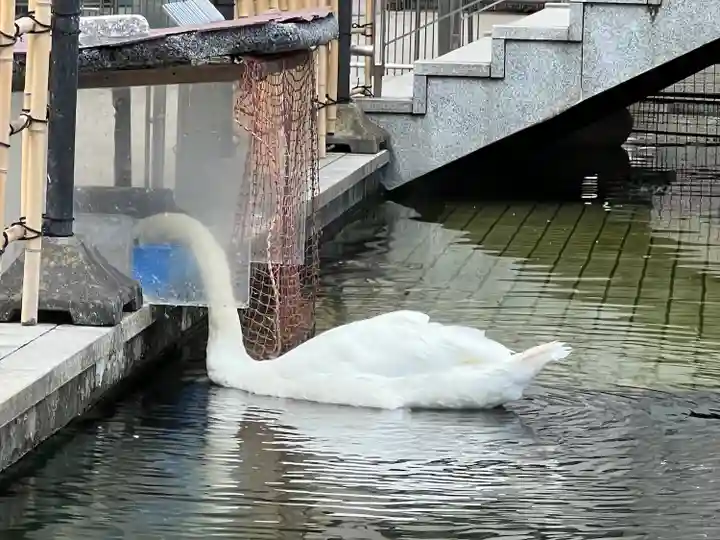 頂法寺(六角堂)(京都府)