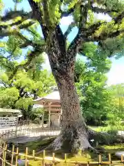 與止日女神社の自然