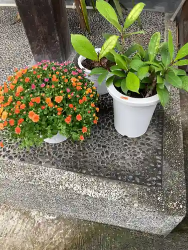 長生院(神奈川県)