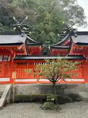 熊野那智大社(和歌山県)