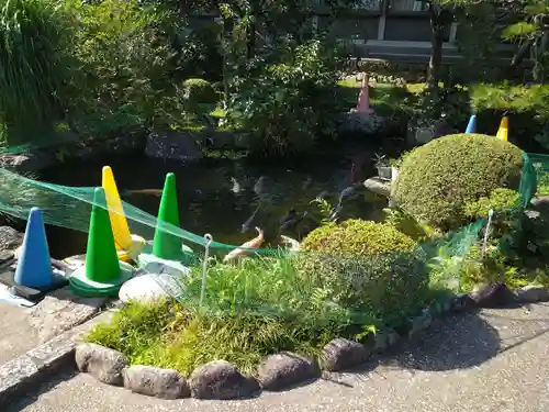 金剛寺のその他建物