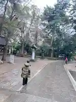 世田谷八幡宮(東京都)