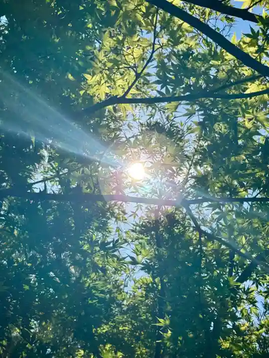 牛窓神社(岡山県)