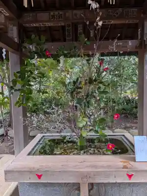 赤坂氷川神社(東京都)